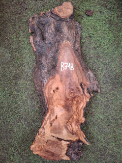 B718 Olivové dřevo 61x19x4,5 cm