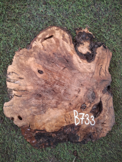 B733 Olivové dřevo 26x25x4,5 cm