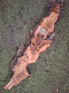 B750 Olivová deska 50x8x4,5 cm