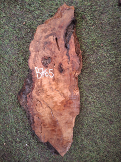 B765 Olivové dřevo 47x154,5 cm