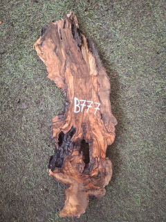 B777 Olivové dřevo 49x16x4,5 cm