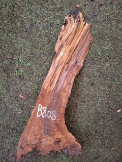B808 Olivové dřevo 42x6x1-4,5 cm