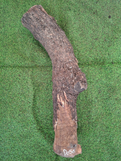 D056 Olivový špalek 77x16x9 cm