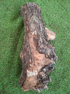 D062 Olivový špalek 50x14x11 cm