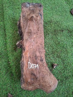 D071 Olivový špalek 48x14x14 cm