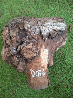 D076 Olivový špalek 20x16x11 cm