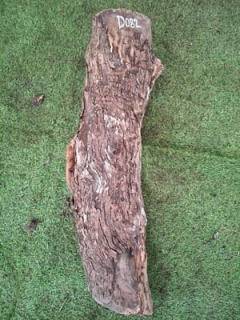 D082 Olivový špalek 70x15x13 cm