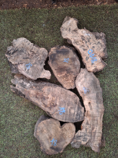O018 Olivové odřezky 4,9 kg