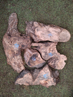 O019 Olivové odřezky 4,8 kg