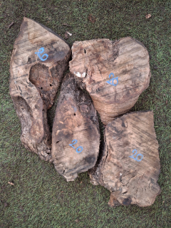 O020 Olivové odřezky 5,2 kg