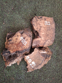 O022 Olivové odřezky 3,95 kg