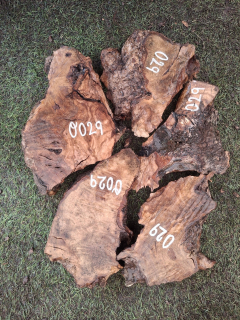 O029 Olivové odřezky 3,97 kg
