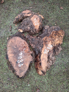 O036 Olivové odřezky 3,55 kg