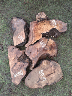 O039 Olivové odřezky 4,65 kg