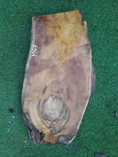 M67 Morušová deska 82x43x4,5 cm