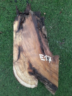 E17 Morušový odřezek 42x14x8-11 cm