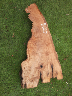 B627 Olivová deska 64x27x6 cm