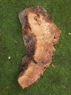 B630 Olivová deska 51x25x5-7 cm