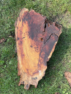M17 Morušová deska 75x43x4-16 cm