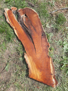 M3 Morušová deska 138x37x4 cm