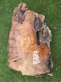 B677 Olivová deska 39x21x9 cm
