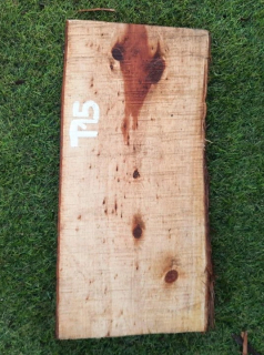 T15 deska z túje 37x17x5 cm