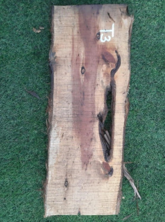 T3 deska z túje 50x17x3 cm