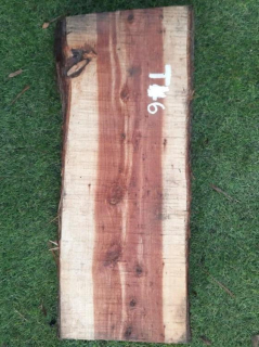 T6 deska z túje 50x19x5,5 cm