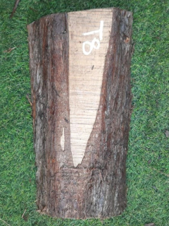 T9 deska z túje 40x19x5 cm