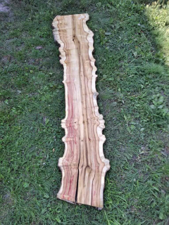Z014 Javor jasanolistý 224x31x6 cm
