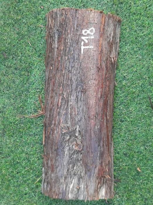 T18 deska z túje 42x17x5 cm