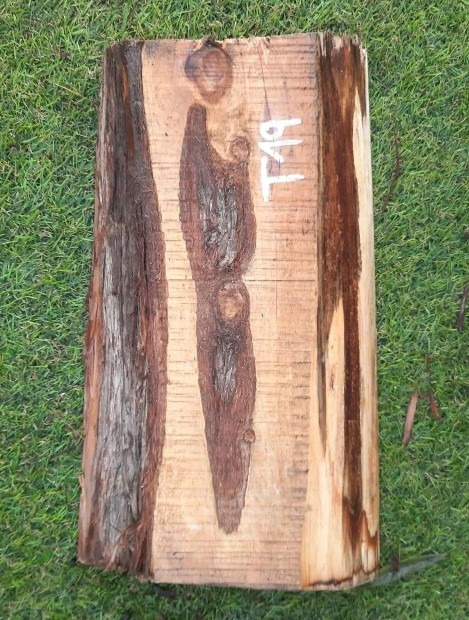 T19 deska z túje 33x18x3,5 cm