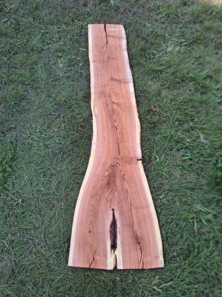 Z006 Dřezovec trojtrnný 210x33x5 cm 