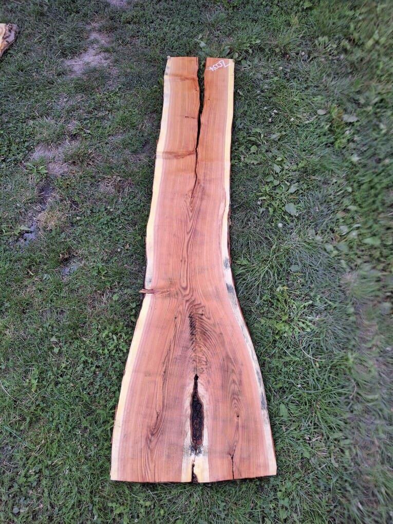 Z007 Dřezovec trojtrnný 213x34x5 cm