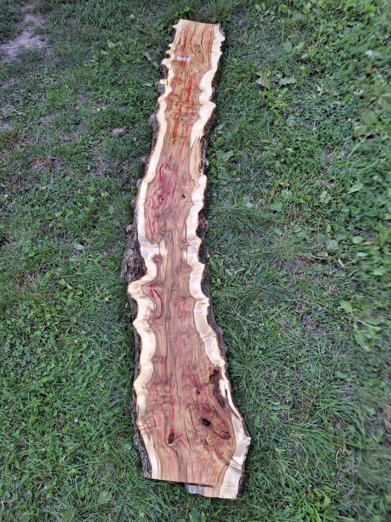 Z008 Javor jasanolistý 227x25x6 cm