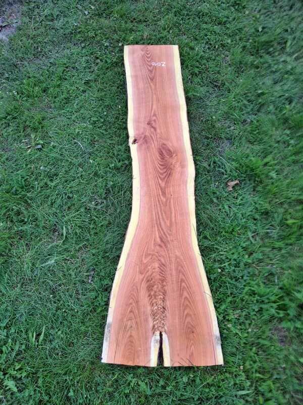 Z010 Dřezovec trojtrnný 215x32x5 cm