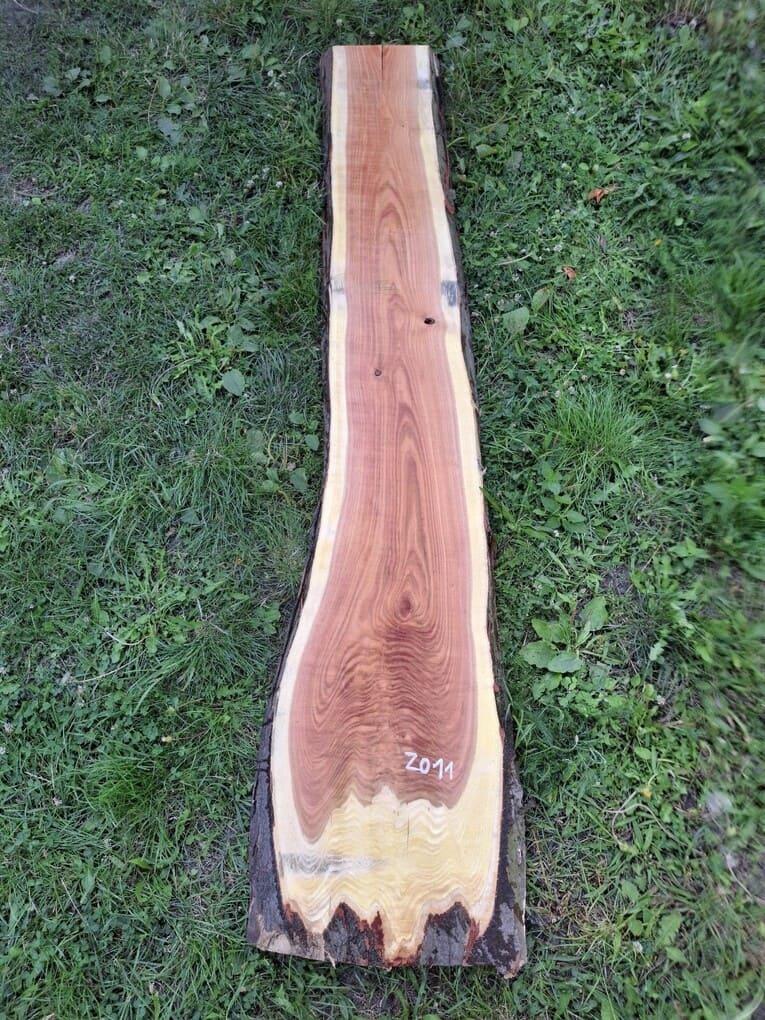 Z011 Dřezovec trojtrnný 214x32x5,5 cm