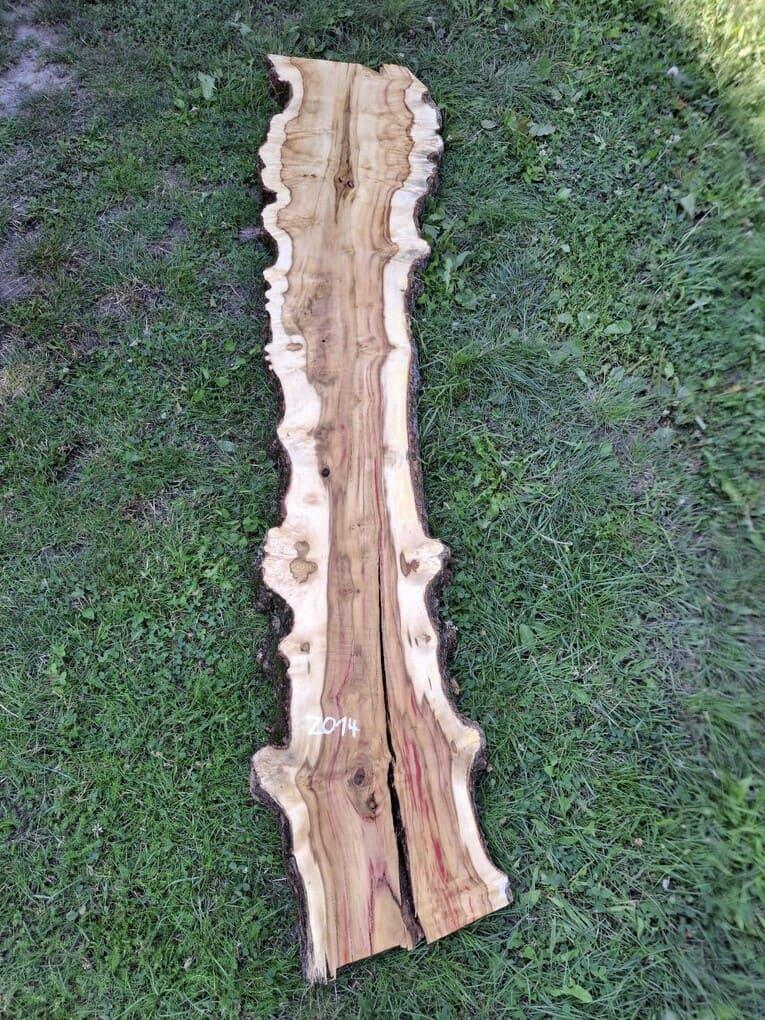 Z014 Javor jasanolistý 224x31x6 cm